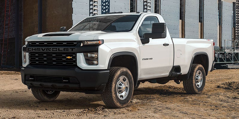 Business Elite - Sax Motor Co. in Dickinson ND