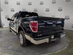 2010 Ford F-150 XL